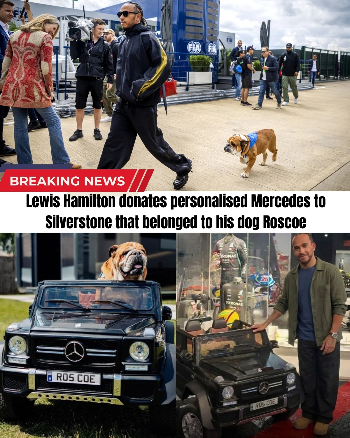 F1 fans, grab your tissues! 😭 Following the heartbreaking loss of the paddock’s favorite “four-legged legend,” Lewis Hamilton just made a final, tear-jerking move at Silverstone.