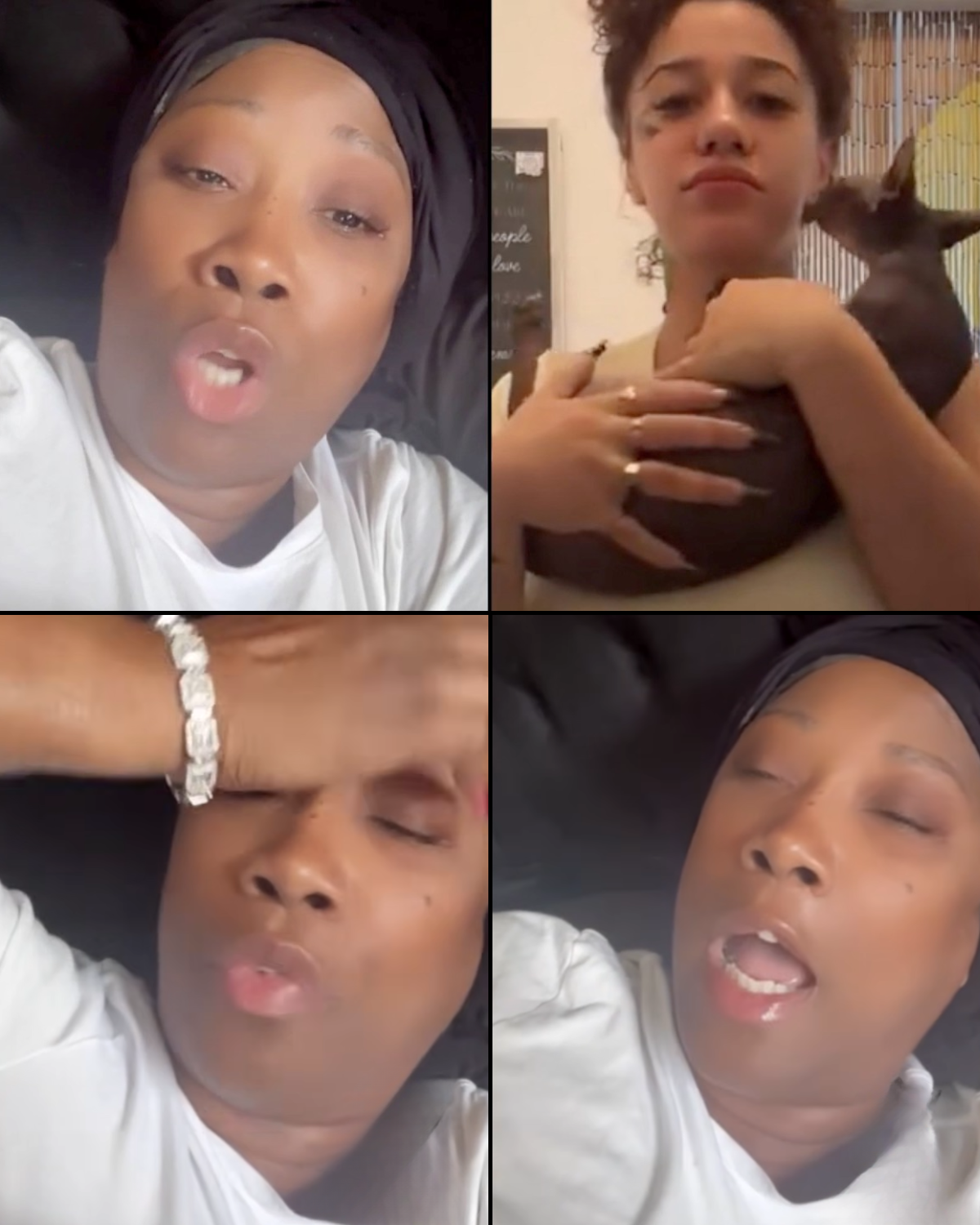 Karlissa Sparks Explosive Reaction After Blueface’s Girlfriend Nevaeh Brings a Cat Into the House, Leaving Fans Questioning What Really Triggered the Meltdown